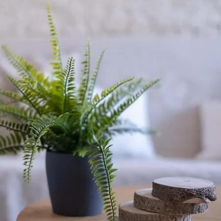 Cocooning A - Les Locations De Proust