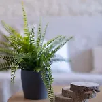 Cocooning A - Les Locations De Proust