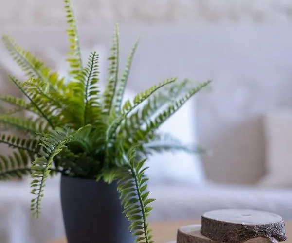 Cocooning à - Les Locations De Proust